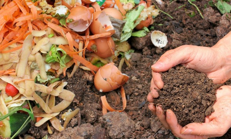 National Composting Day, May 29