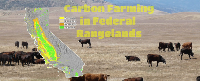 Carbon Farming in Federal Rangelands