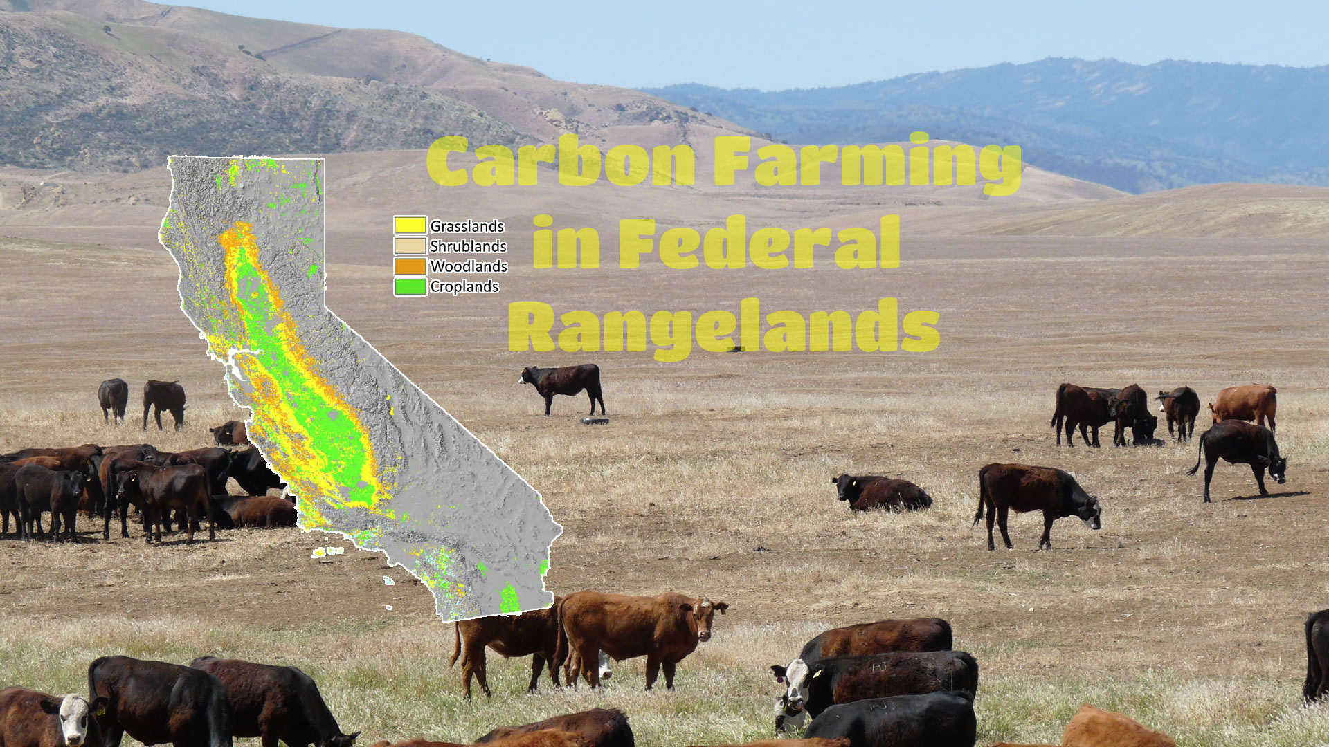 Carbon Farming in Federal Rangelands