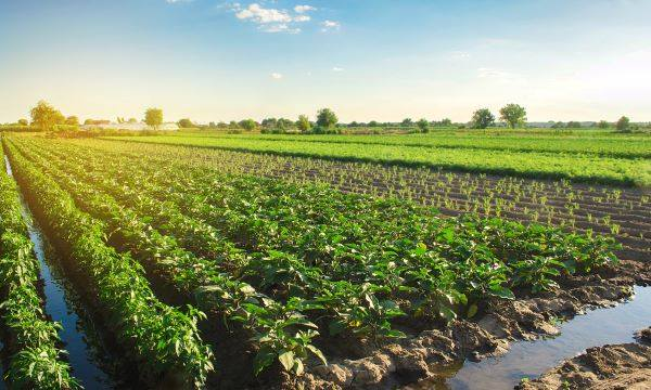AGROMIN: HSP #2CDFA Announces Grant Funding Available for Healthy Soils Program Under New Pilot Program